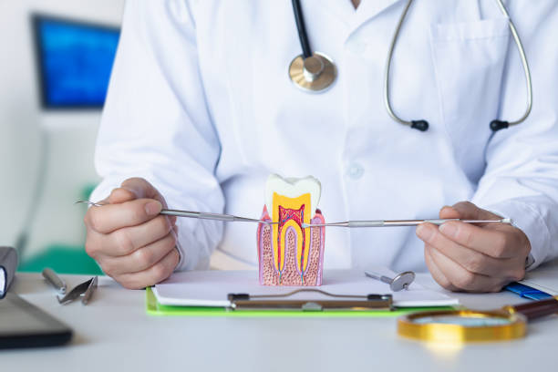 Best Weekend Emergency Dentist in Mccom, MS